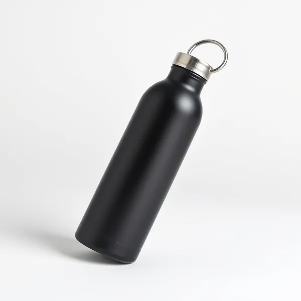 Illustrative insulated water bottle (not the actual product)