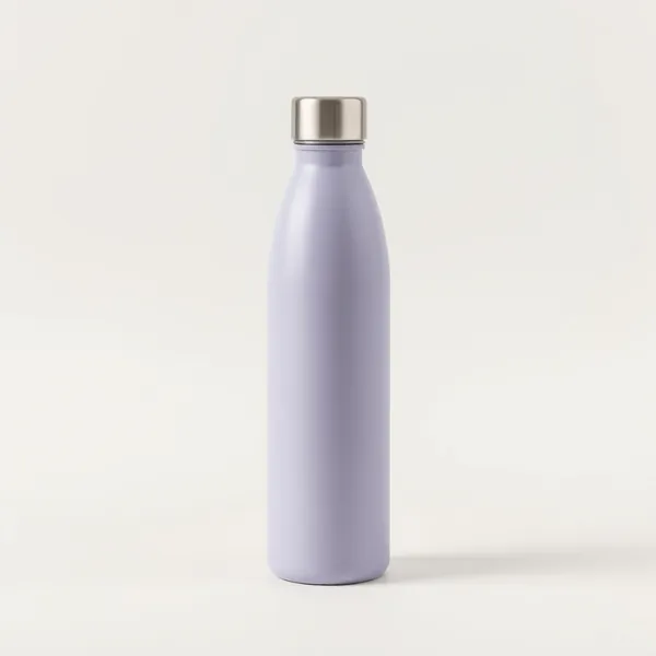 Illustrative insulated water bottle (not the actual product)