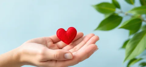 Hands holding a small red heart