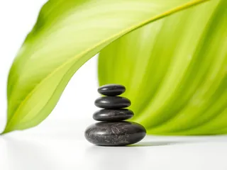 Balanced stones in front of a large green leaf