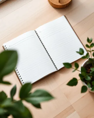 An open spiral planner with blank pages